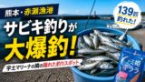 【熊本・赤瀬漁港】堤防でサビキ釣りが大爆釣した話！※宇土マリーナの隣の隠れた釣りスポット