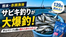 【熊本・赤瀬漁港】堤防でサビキ釣りが大爆釣した話！※宇土マリーナの隣の隠れた釣りスポット